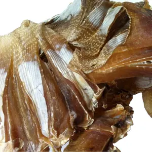 أسماك راي المجففة الطازجة واللذيذة من المورد الفيتنامي