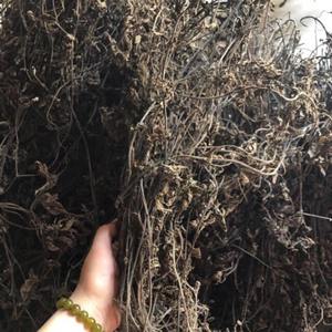 Feuilles de gelée d'herbe noire naturelle Offre Spéciale/bâtons d'herbe en gelée séchée/gelée douce vietnamienne - Product Image 5