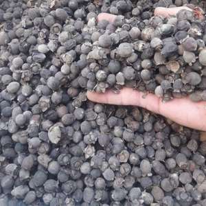 เบอร์รี่เมอร์เทิลออร์แกนิกฉลากสะอาด/ธรรมชาติ/เพิ่มภูมิคุ้มกัน/อาหารเสริมที่อุดมไปด้วย - Product Image 4