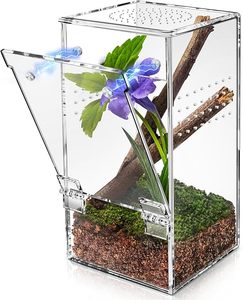 Terrario in Acrilico Multidimensionale dal Design Classico, Produzione Rapida, Disponibile in Diverse Misure, Direttamente dal Produttore - Product Image 3