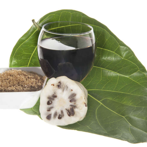 Jus de Noni de qualité supérieure, Vietnam - Product Image 5