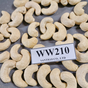 SANTIGO Noix et amandes Noix de cajou crues WW210 exportées vers le Moyen-Orient, UE W210 Noix de cajou - Product Image 1