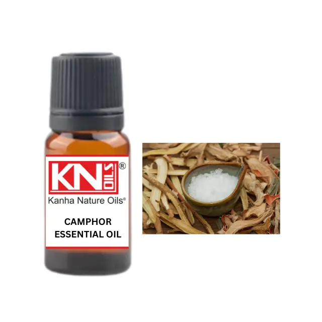 CAMPHOR ESSENTIAL OIL White, Brown, Yellow, and Blue. But only the White variety is used for aromatic and medicinal For Sale