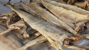 ปลาคอดเกลือแห้งพิเศษ | รักษาด้วยเกลือสูง | เก็บรักษาได้นาน - Product Image 2