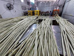 Caña de azúcar congelada/palitos de Loto Azul Vietnam sabor dulce para jugo de alta calidad - Product Image 5