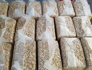 Anacardos frescos orgánicos a granel 100% precio de fábrica natural Vietnam - Product Image 3