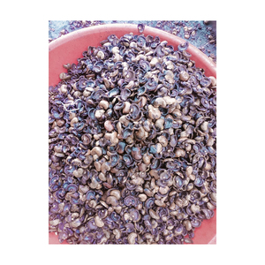 เม็ดมะม่วงหิมพานต์เม็ดมะม่วงหิมพานต์ขายส่งจำนวนมากราคาไม่แพงพร้อมส่งปลอดภัย - Product Image 3