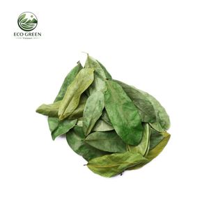 Feuilles de corossol séchées du Vietnam de qualité supérieure, thé aux herbes biologiques, feuilles de Graviola pour la distribution en gros dans le monde entier - Product Image 1