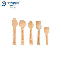 Cuillères de dégustation jetables en bois, mini-cuillères à dessert biodégradables pour café, vente en gros directe d'usine