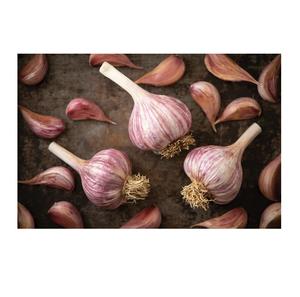 Compre ajo rojo de alta calidad a la venta a precios económicos, perfecto para pedidos a granel, fresco y listo para la entrega - Product Image 3