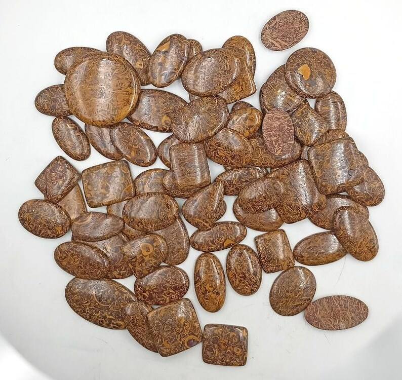 สีน้ำตาล