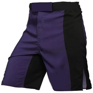 Shorts de boxe MMA, personnalisez votre design, sportifs, unis, séchage rapide, respirants, unisexes, couleurs personnalisées, logo sur le devant, haute qualité - Product Image 3