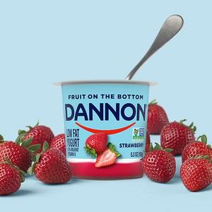 Délicieux yaourt crémeux à la vanille Dannon Durée de conservation de 2 ans Fabriqué en Belgique Disponible en différentes saveurs à vendre Prix d'usine - Product Image 4