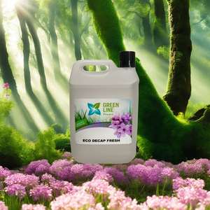 Eco Décap Fresh 4X5L Pack Producto desengrasante - Product Image 1