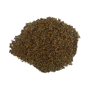 Graines de Cassia Tora de haute qualité cultivées en agriculture biologique 100% sans caféine à vendre - Product Image 1