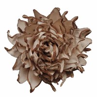 Sola bunga kayu reed diffuser, Wangi buatan tangan bunga Sola ramah gema bunga Sola alami ke udara menyegarkan