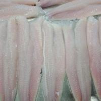 IQF SNACKEHEAD FISH ENTIER PROPRE-PRIX BON MARCHÉ DE HAUTE QUALITÉ DU VIETNAM