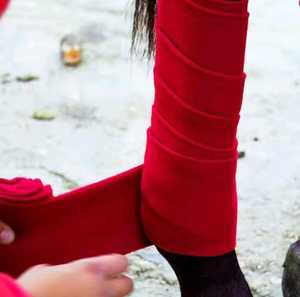 Bota de caballo duradera de neopreno de alta calidad de nuevo diseño 2025, vendajes de Polo de Color personalizados para seguridad de piernas de equitación - Product Image 5