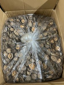 CHAMPIGNONS SHIITAKE SÉCHÉS DE QUALITÉ SUPÉRIEURE, CHAMPIGNONS RICHE EN UMAMI NATUREL POUR LA CUISINE ASIATIQUE, ALIMENTS SAIN ET EXPORTATIONS MONDIALES // Mme Lily - Product Image 5