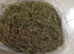 ใบแตงโมขมสดแห้ง/สารต้านอนุมูลอิสระ/ฉลากสะอาด/จากพืช - Product Image 6