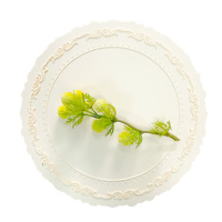 Sous-verres antidérapants en silicone rond de haute qualité protecteur de table soucoupe de décoration de table écologique et durable