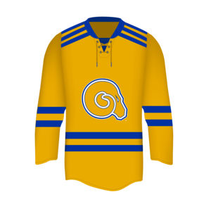 Maillot de hockey sur glace, créez votre propre maillot d'équipe, maillot de hockey professionnel de haute qualité - Product Image 3