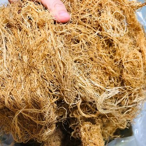 สาหร่ายทะเลสีทองแห้งคุณภาพสูงจากเวียดนาม - Product Image 4