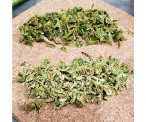 APIO PICADO DESHIDRATADO SEGURO NATURAL SIN CONSERVADORES ÚLTIMA PRODUCCIÓN EN 2024 - Product Image 1