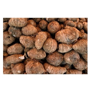 Vente flash Légume frais Taro frais - Product Image 6