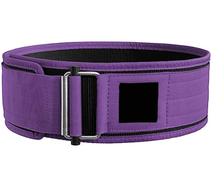 Ceinture d'haltérophilie avec logo personnalisé de marque propre ceinture d'haltérophilie soutien dorsal gymnastique exercice Fitness entraînement ceinture de levage - Product Image 5