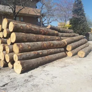 Rodada Venda Quente Barato Logs De Eucalipto, logs De Madeira De Eucalipto Natural Logs De Madeira De Eucalipto Para Atacado