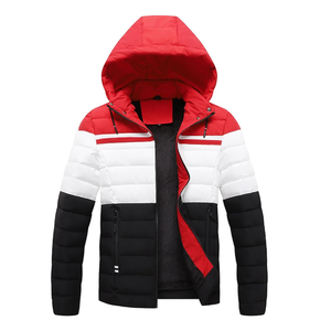 Veste d'hiver épaisse en duvet pour homme avec logo personnalisé, col montant, fermeture éclair intégrale, style bulle, veste d'extérieur 2025 - Product Image 6