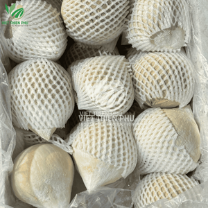 Noix de coco semi-décortiquée fraîche de haute qualité, naturelle, brune, marque VTP, 100% issue de noix de coco fraîches, directement du Vietnam, approvisionnement direct - Product Image 6
