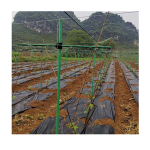 <span class=keywords><strong>FRP</strong></span> <span class=keywords><strong>GRP</strong></span> sợ<span class=keywords><strong>i</strong></span> thủy tinh Composite ống rỗng ống ống tròn - Product Image 1