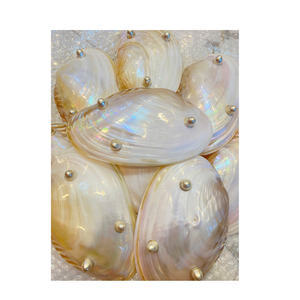 Assiette de caviar en nacre décorative de qualité supérieure avec cuillère à coquille et ouvre-boîte Logo personnalisé Offre Spéciale à vaisselle en coquillage naturel - Product Image 6