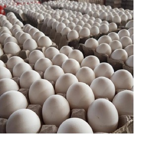 Mua trứng tươi Hùng Mạnh-trứng bàn Gà Tươi-Trứng gà tươi với giá tốt - Product Image 3