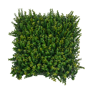 Panneau mural végétal artificiel en eucalyptus et buis 50x50cm pour hôtels, centres commerciaux, aménagements extérieurs et intérieurs, vente en gros, OEM - Product Image 2