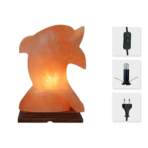 Lámpara de sal del Himalaya de alta calidad hecha a mano con forma Natural moderna personalizada, madera ecológica/Material de sal, decoración única para el hogar - Product Image 5