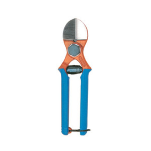 Tijeras para Frutas Due Buoi 133  20 Cm - Product Image 1