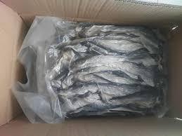 PROPORCIONANDO PIEL DE PESCADO BASA NATURALMENTE SECA AL MEJOR PRECIO 2024 - Product Image 2