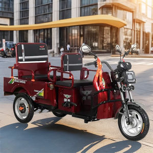 QSD Factory's Hot Sale 48V <span class=keywords><strong>Trimoto</strong></span> eléctrico Bicicleta <span class=keywords><strong>de</strong></span> carga <span class=keywords><strong>de</strong></span> 3 ruedas Cuerpo abierto para 2 personas Viaje urbano Paseos relajados - Product Image 5