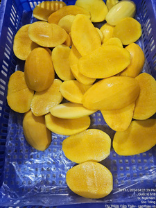 มะม่วงเกียงแช่แข็งพร้อมผลไม้เมืองร้อนหวานธรรมชาติจากเวียดนาม | ผลไม้แช่แข็งส่งออกทั่วโลก - Product Image 2