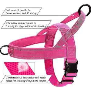 Oem Custom High quality <b>Dog</b> And Cat Collars Belt - Product Image 2