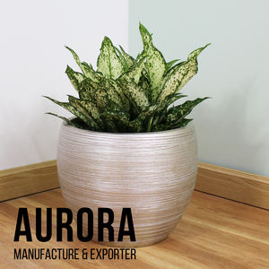 Macetas de Cerámica Vietnamitas de Alta Calidad, Ecológicas, con Orificio de Drenaje, Embalaje Personalizado, Precio al por Mayor - Product Image 4