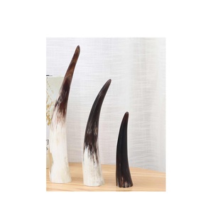Par de cuernos de búfalo sin pulir búfalo natural Tamaño personalizado natural áspero par de cuernos de búfalo para gran oferta - Product Image 5