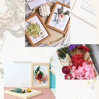 Flores Secas de Eucalipto Mixtas de Larga Duración al por Mayor, Materiales para Arreglos Florales Hechos a Mano, para Navidad y el Día de la Madre