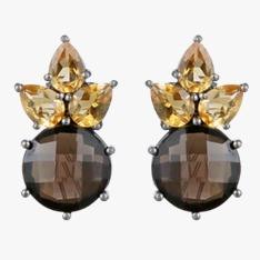 สีน้ำตาล