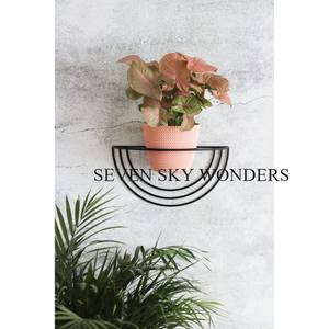 Maceta colgante de hierro para interiores, maceta de jardín, valla para colgar en la pared, maceta de plantas de tamaño personalizado de calidad Superior para uso doméstico al aire libre - Product Image 5