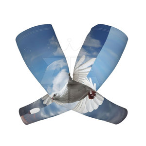 Hecho en el mejor material Mangas de brazo Diseño de logotipo personalizado Mangas de brazo Venta caliente Mangas de brazo - Product Image 1