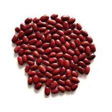 Premium Organic Dried Red Kidney <b>Beans</b>-High Quality Bulk Wholesale Healthy <b>Beans</b> - Product Image 5